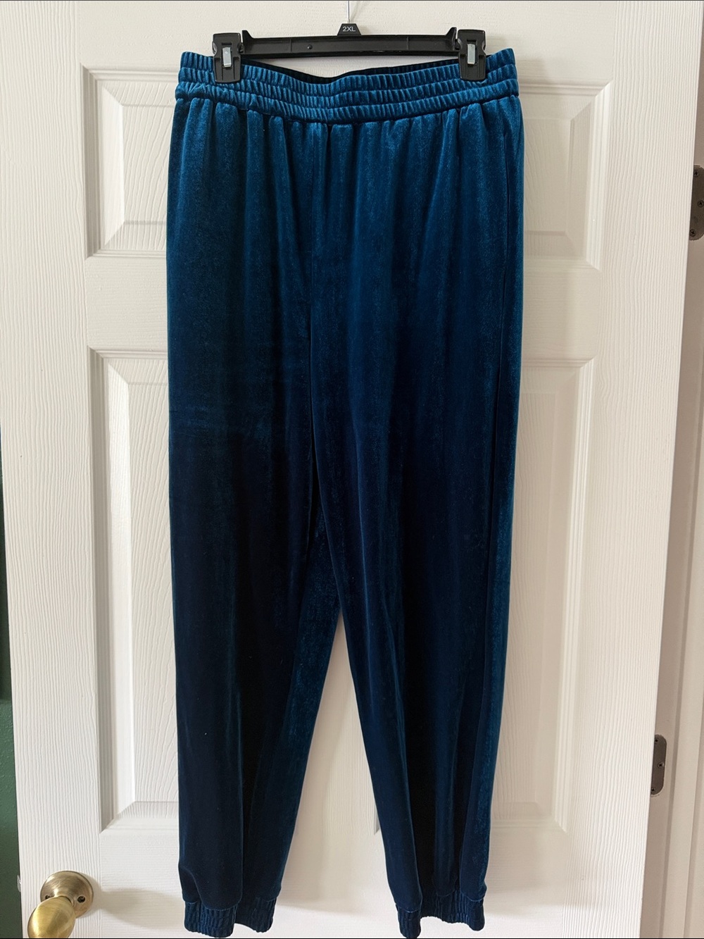 Skies Are Blue Plush Joggers in Deep Teal